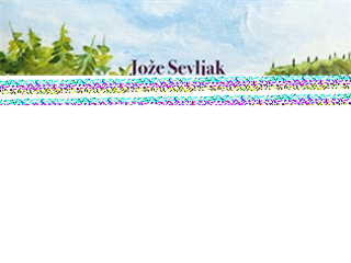 Literarni večer z Jožetom Sevljakom