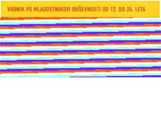 Knjižni klub Družinskega inštituta - 2. srečanje