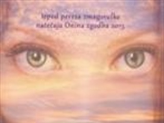 Literarni večer z razstavo - Knjižnica Litija