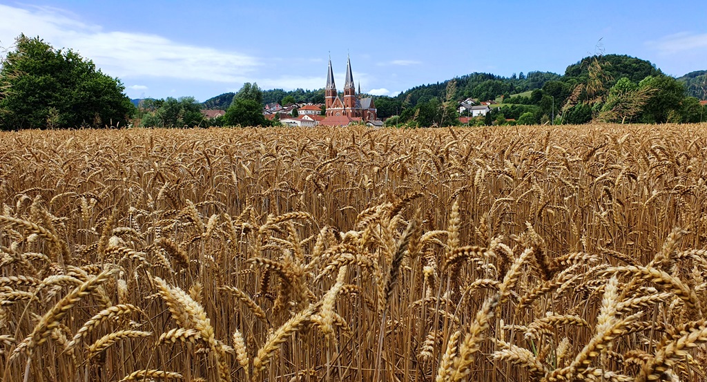 Razstava 7. fotografskega natečaja