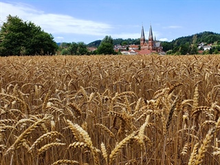 Razstava 7. fotografskega natečaja