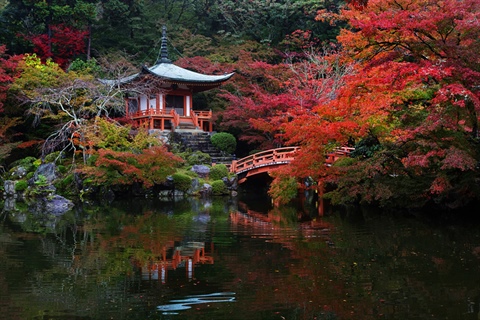 Japonska, Matjaž Corel