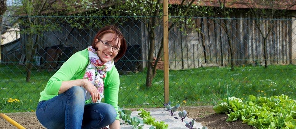 yakon in ingver, Metka Ternjak Gomboc