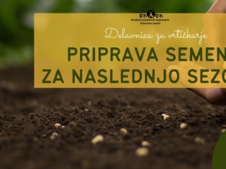 Priprava semen za naslednjo sezono