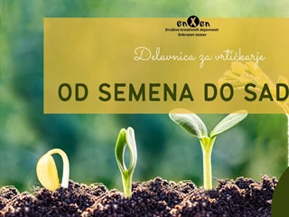 Od semena do sadike