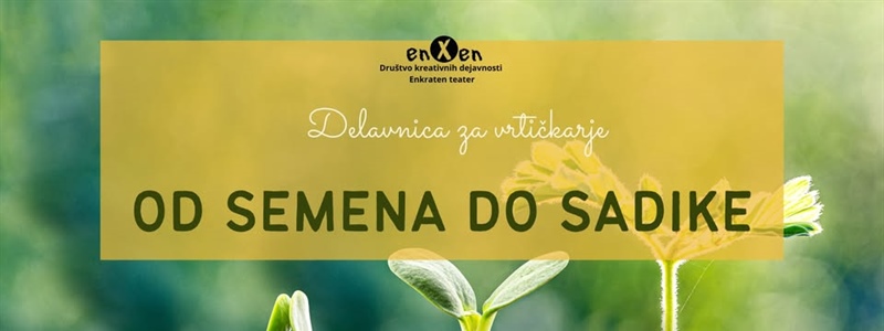 Od semena do sadike