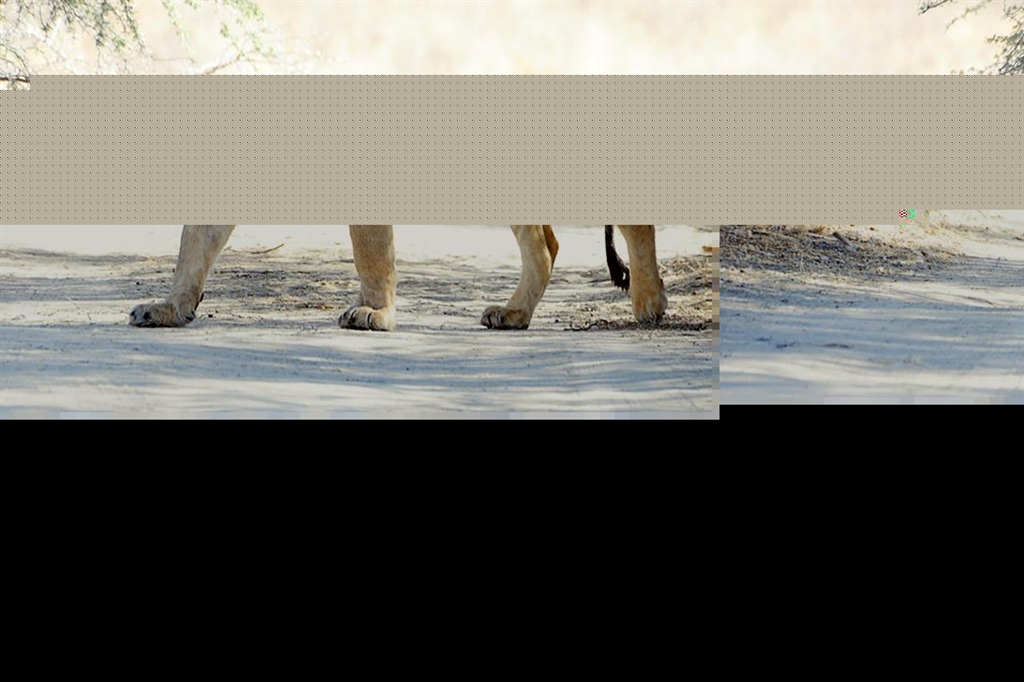 Potopis: Katarina Hočevar - Južna Afrika